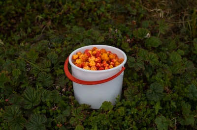 filled white and red plastic bucket on grass covered ground berry teams background