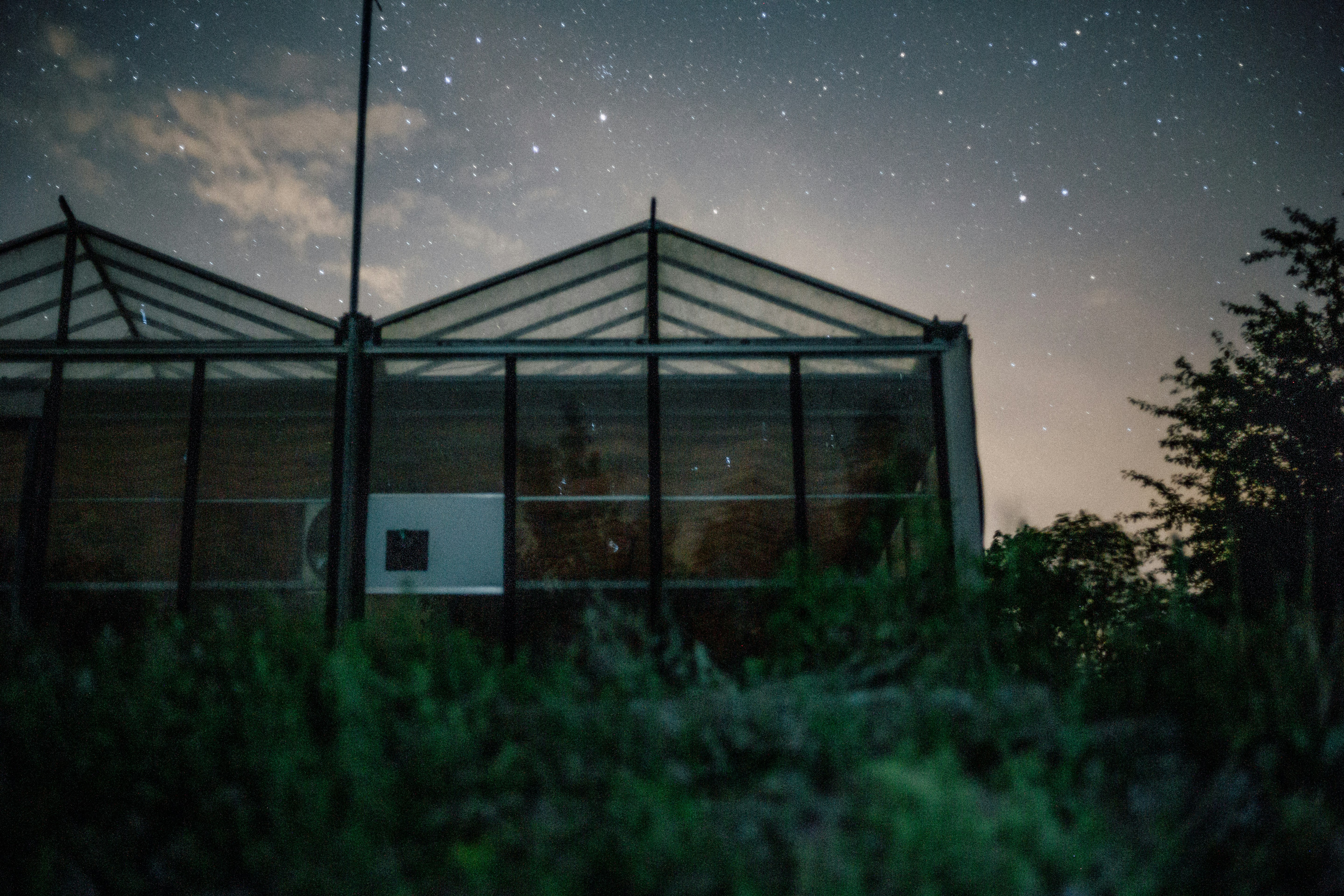 A surreal picture of a greenhouse at night in bavaria!