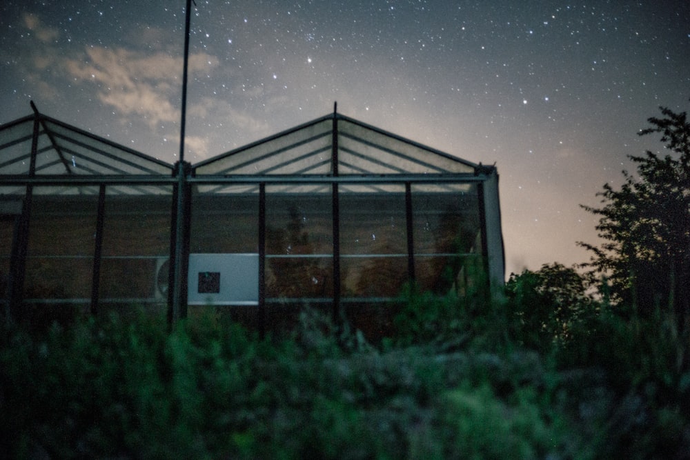 worm's-eye view photo of green house under stardust