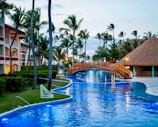 infinity pool with bridge