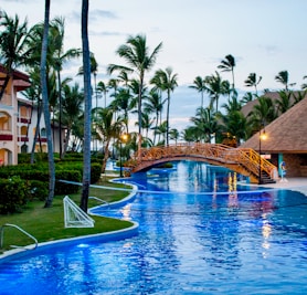 infinity pool with bridge