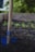 A wooden gardening tool with a blue metal spade is partially buried in dark, rich soil. Around the tool, young green plants are beginning to sprout, and a blurred wooden planter box frames the background.