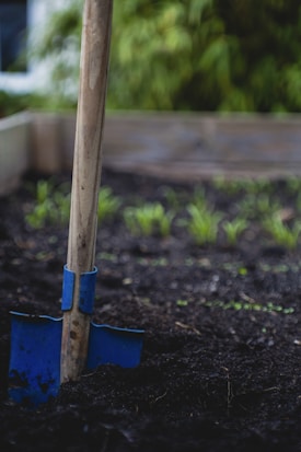 A wooden gardening tool with a blue metal spade is partially buried in dark, rich soil. Around the tool, young green plants are beginning to sprout, and a blurred wooden planter box frames the background.