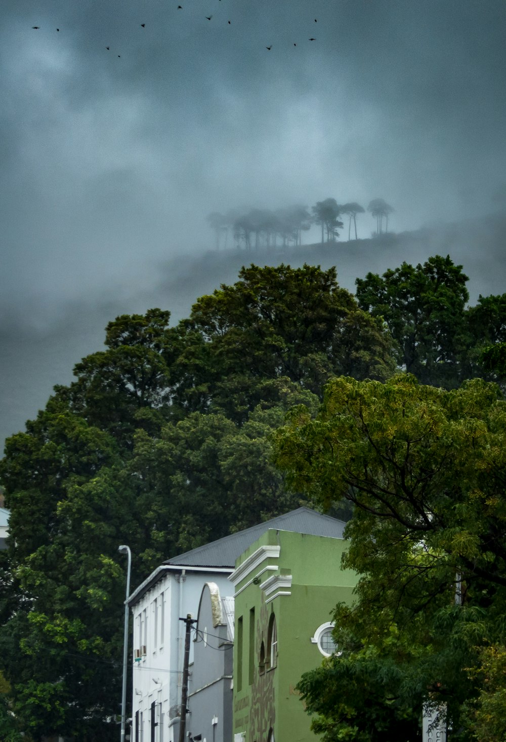 Maison en béton blanc et vert sous de grands arbres sous un ciel nuageux