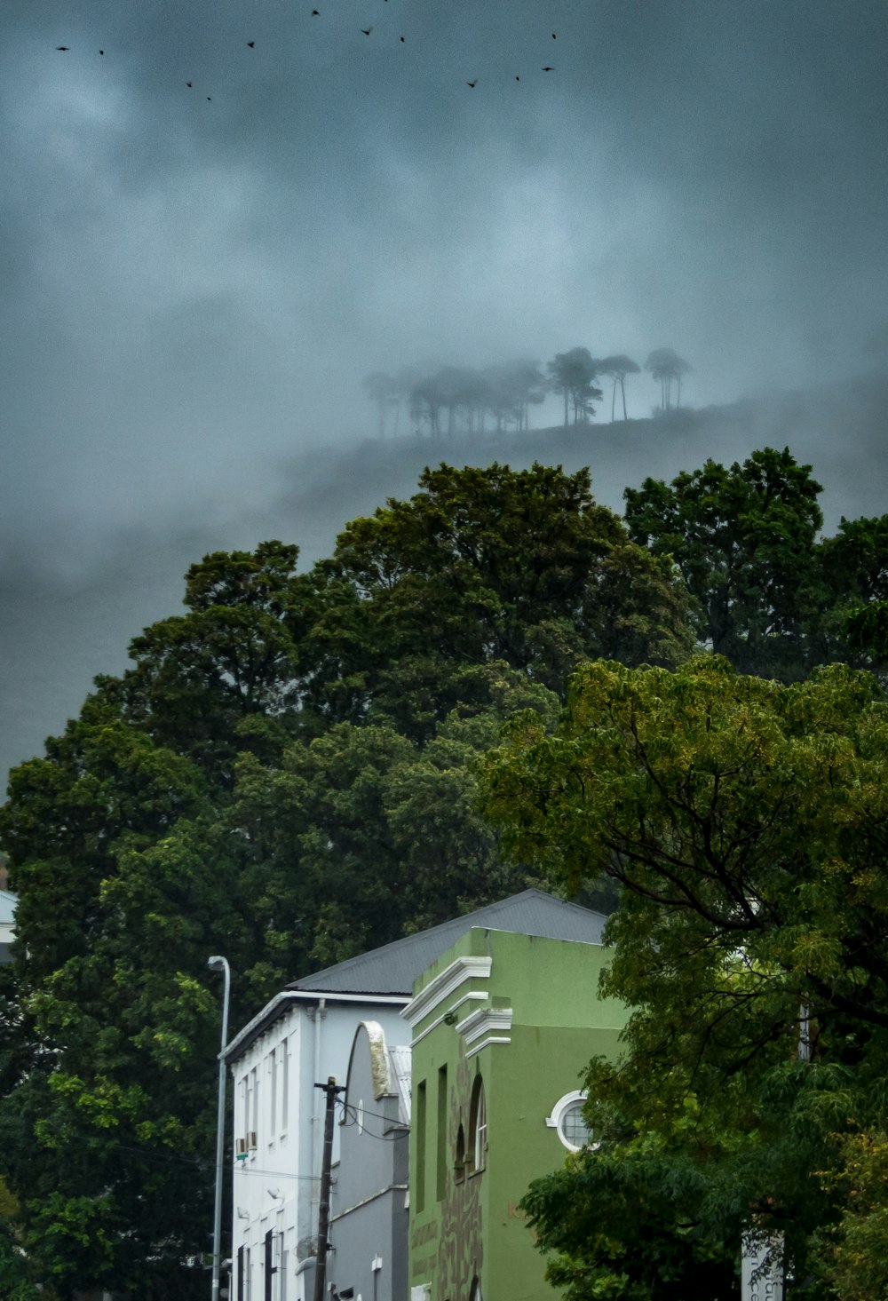 white and green concrete house under tall trees during cloudy sky