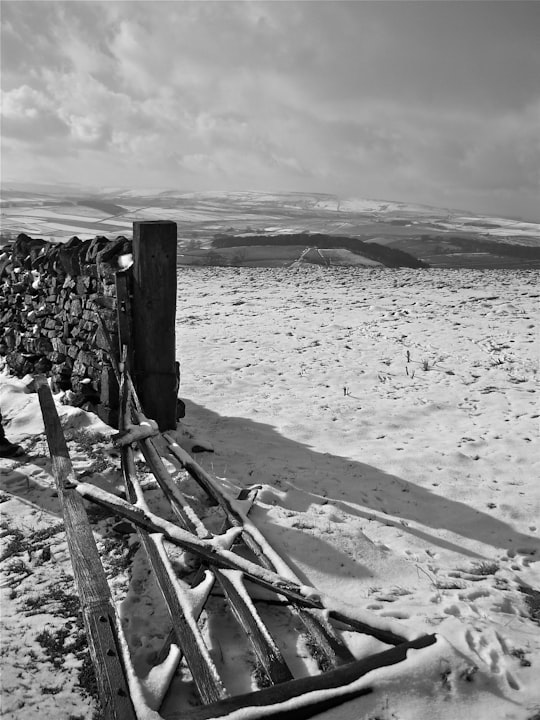 grayscale photography of wooden fence in Sparrowpit United Kingdom