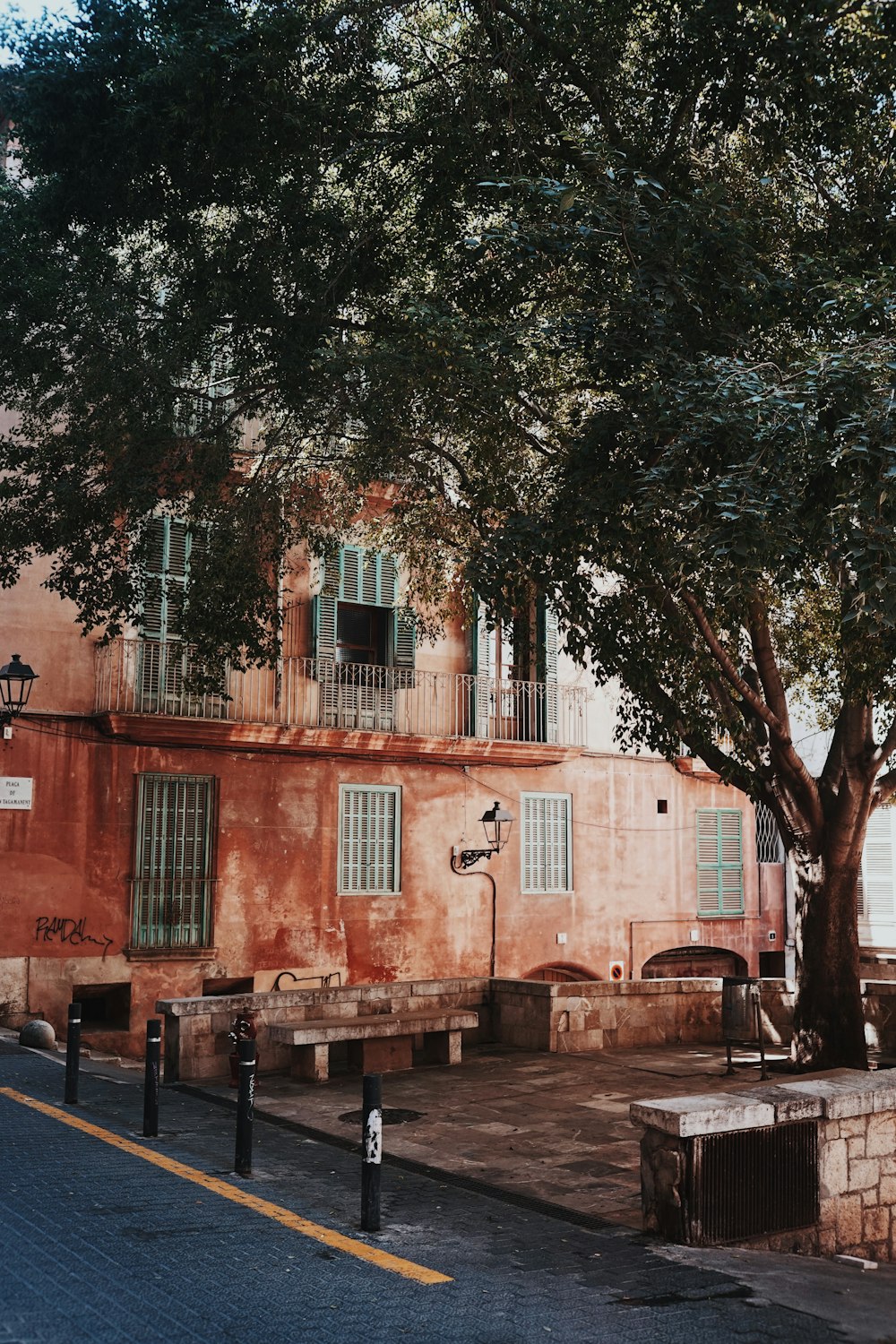 brown concrete building near tree