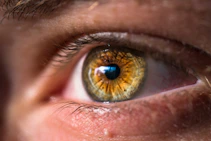 close-up photo of human eye