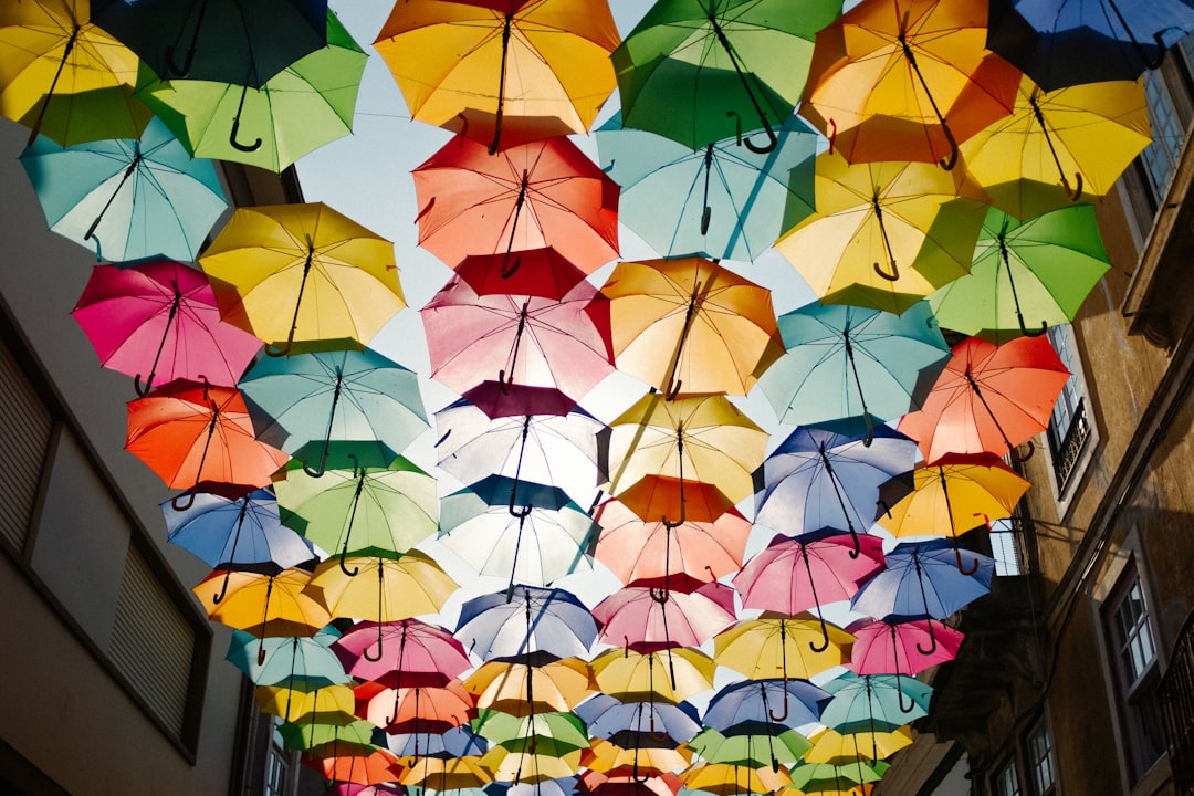 photo of Agueda Parachute near Jardins da Quinta das Lágrimas