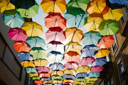 assorted-color umbrella roof design in Agueda Portugal