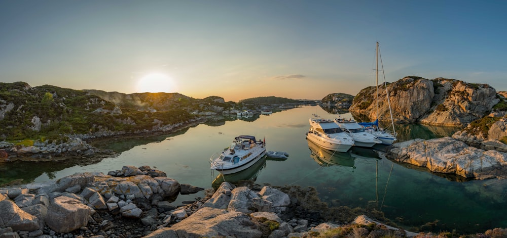 four white speedboats on body of water