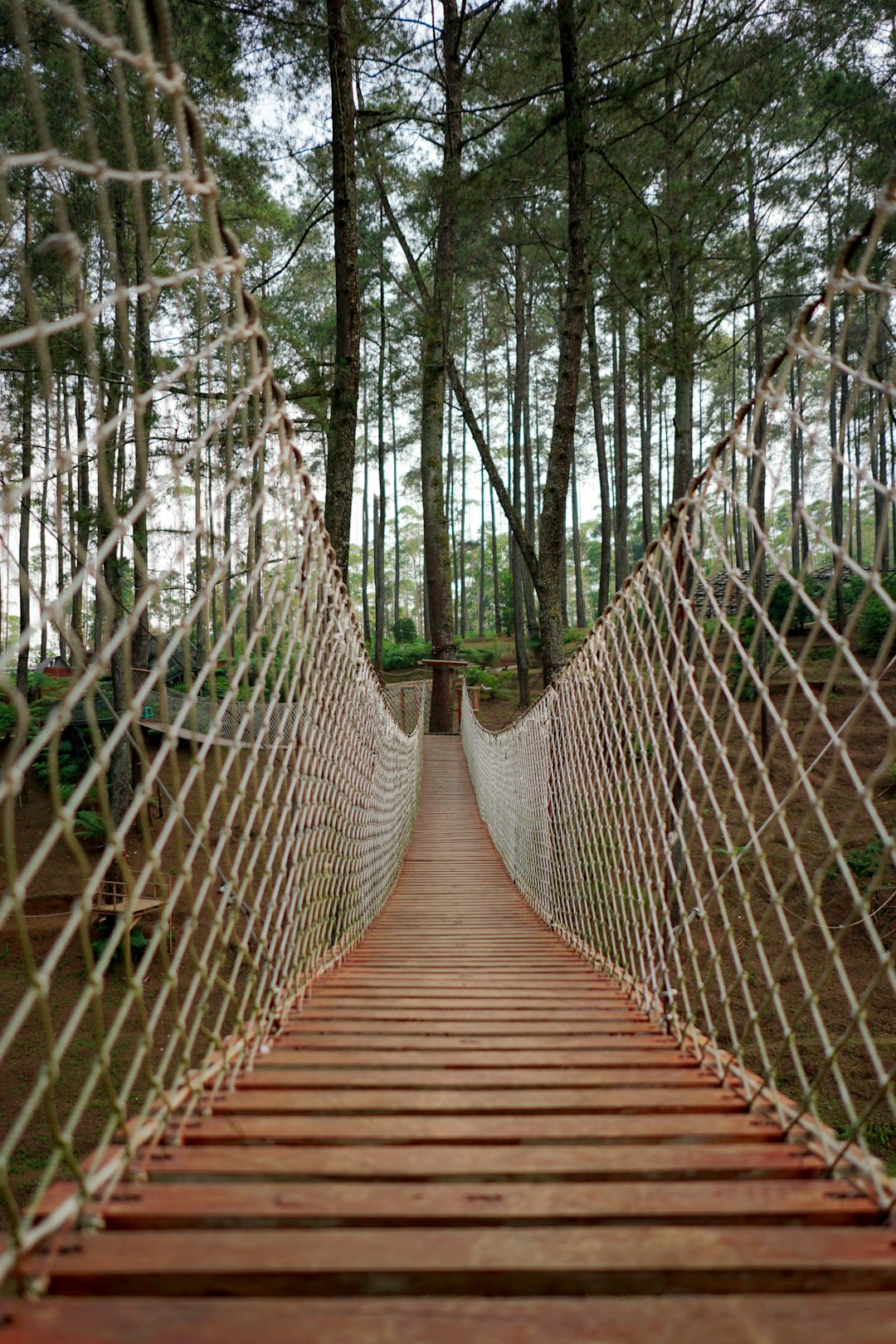 travelers stories about Rope bridge in Tourism Park ORCHID FOREST, Indonesia