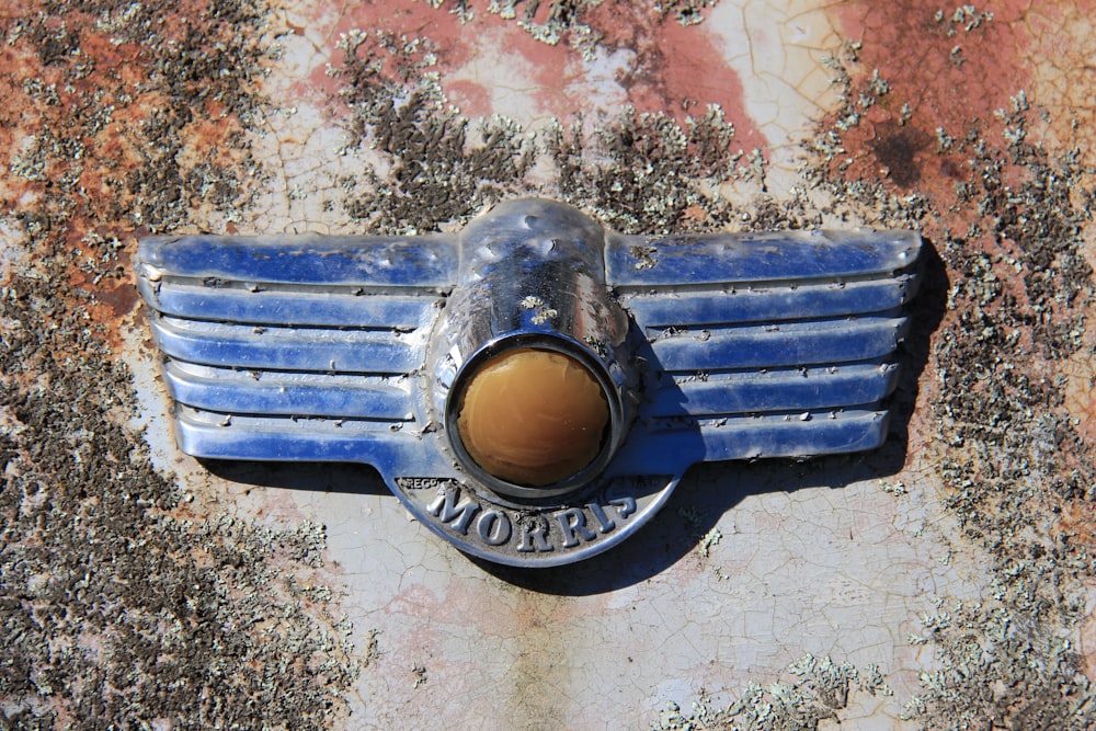 close-up photo of blue Morris hood ornament