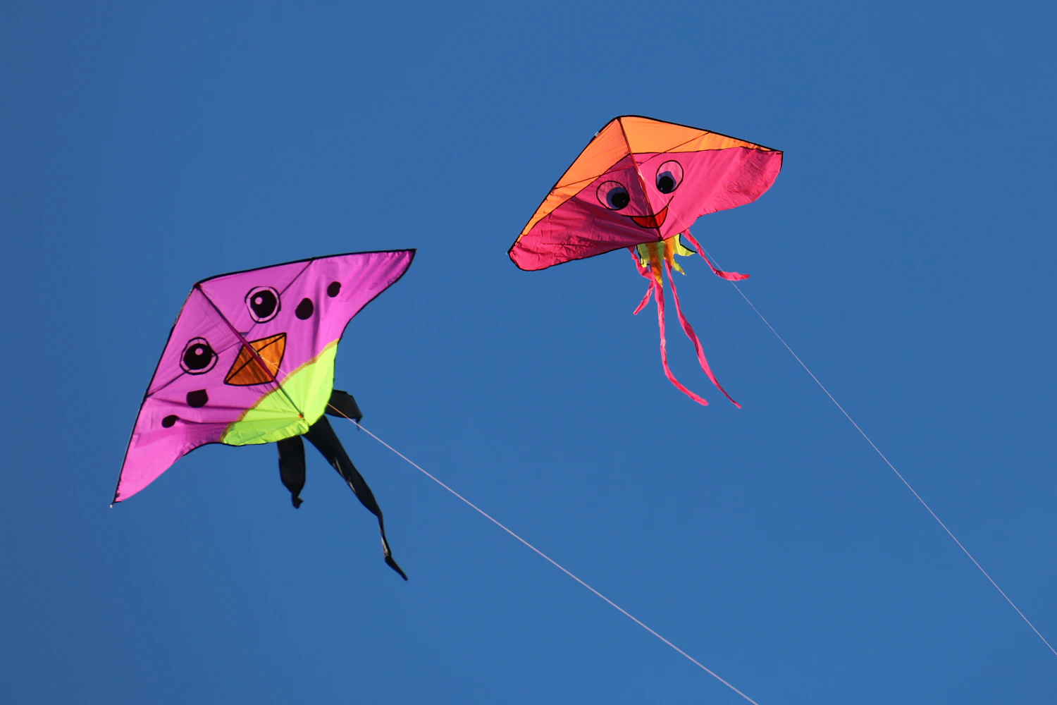 Two pink and orange bird kites flying side by side against a blue sky