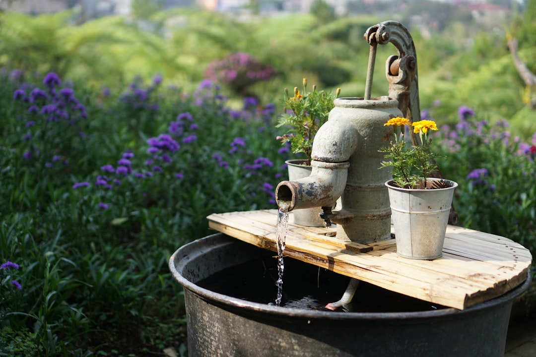  gray deep well pump surrounded by flowers during daytime bucket