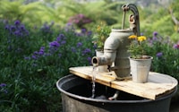gray deep well pump surrounded by flowers during daytime