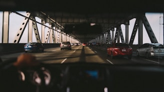 Wide-angle view of a newly constructed steel bridge spanning a river with vehicles crossing.