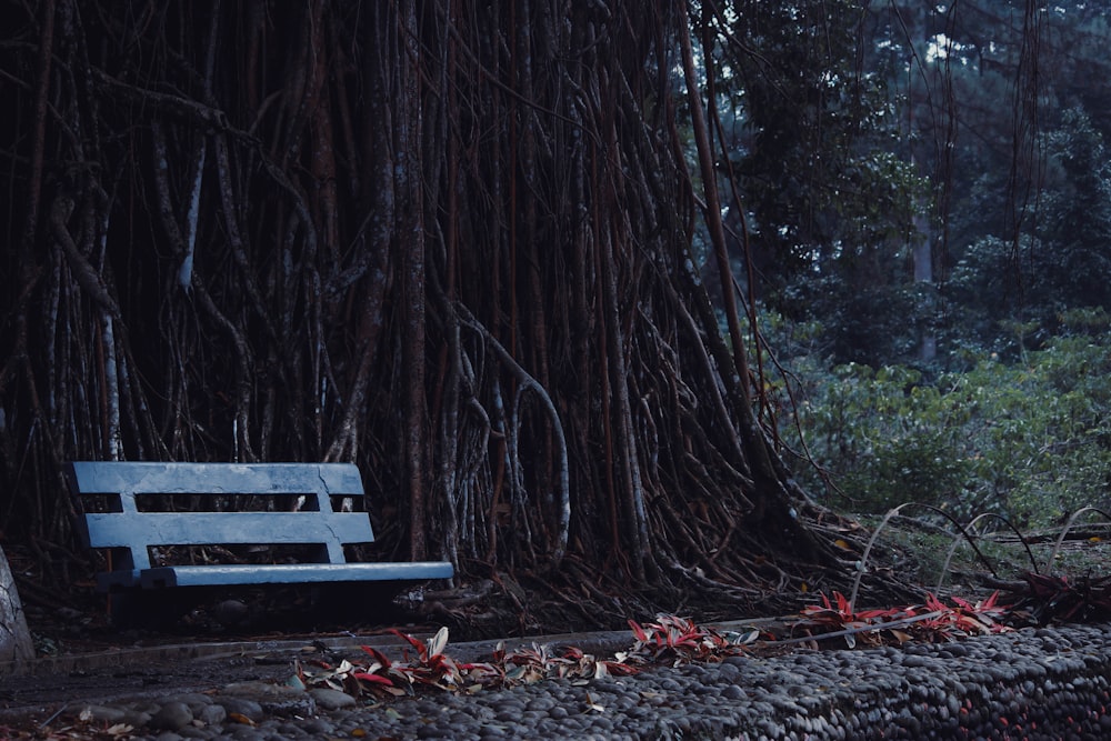 gray wooden swing bench beside tree roots at daytime