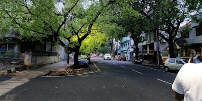 A quiet urban street with green trees lining the sidewalks, showing calm and space.