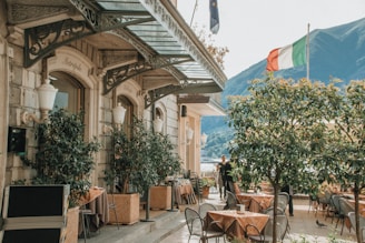 restaurant surrounded by trees