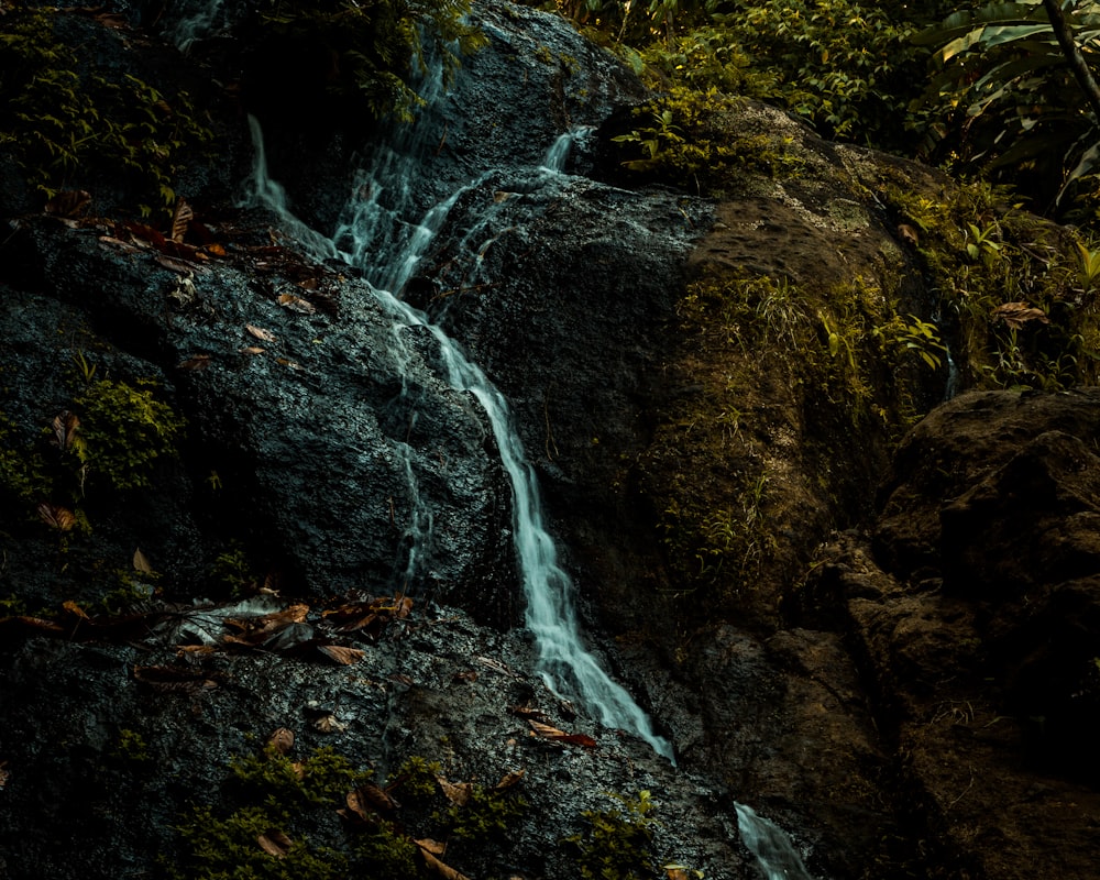 flower water on boulders