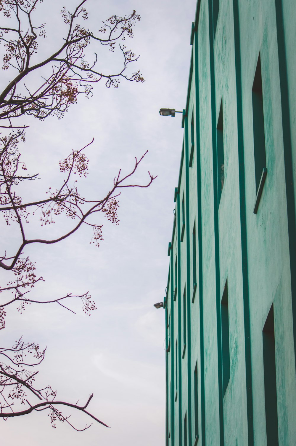 blue concrete building beside tree