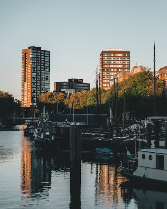 white and black boat on dock during daytime in Rotterdam Netherlands