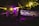 A group of people gathered outdoors at night, illuminated by vibrant yellow and purple lights. In the background, a DJ stands at a booth, and a large screen displays abstract patterns. The area is surrounded by trees with bright lights shining through the leaves, creating a festive atmosphere.
