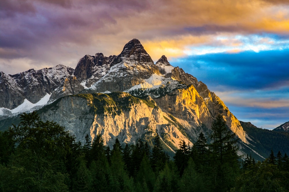 Vue sur les montagnes alpines entourées de pins