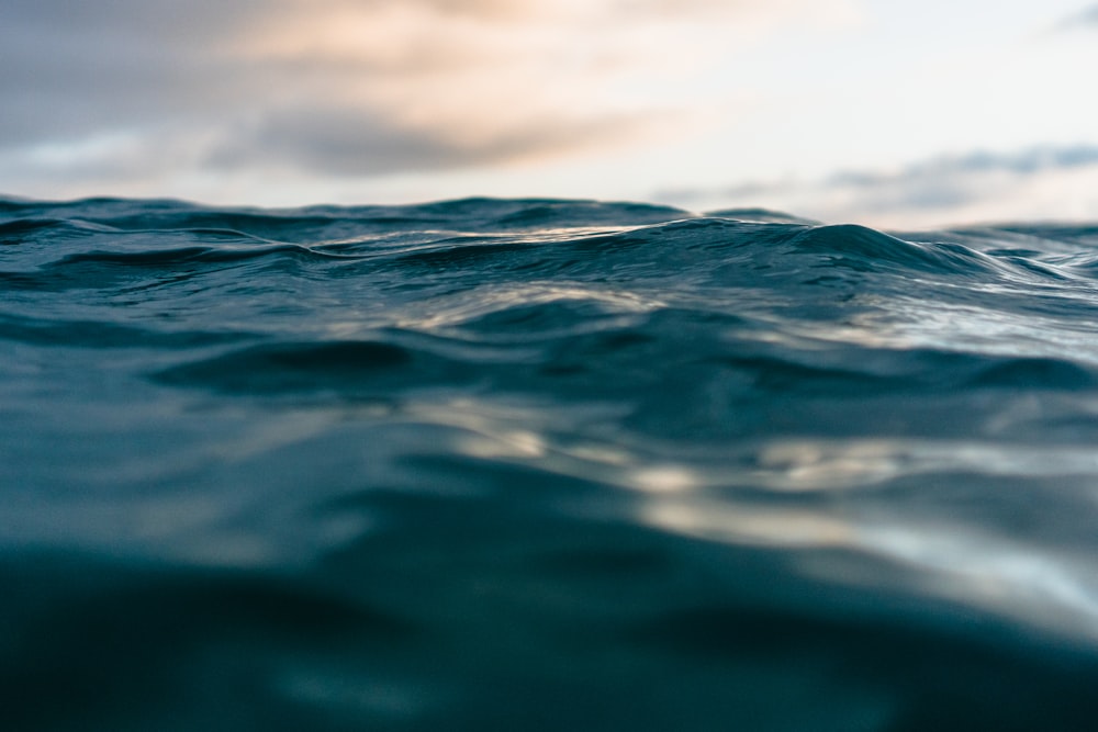 close-up photo of body of water