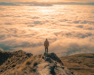 person standing on top of mountain