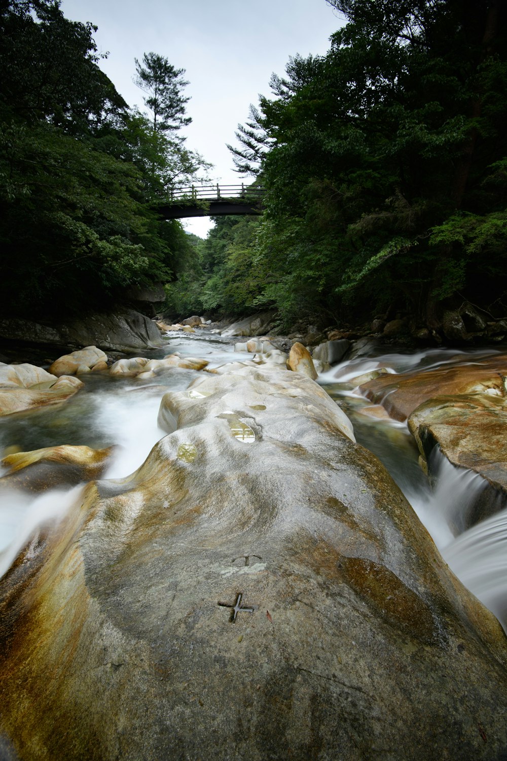 river between trees near bridge taken during daytime