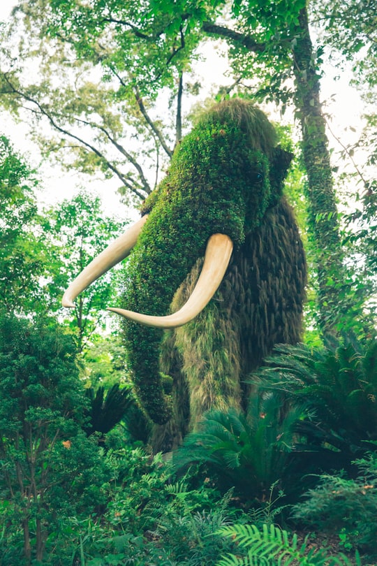 mammoth in Atlanta Botanical Garden United States