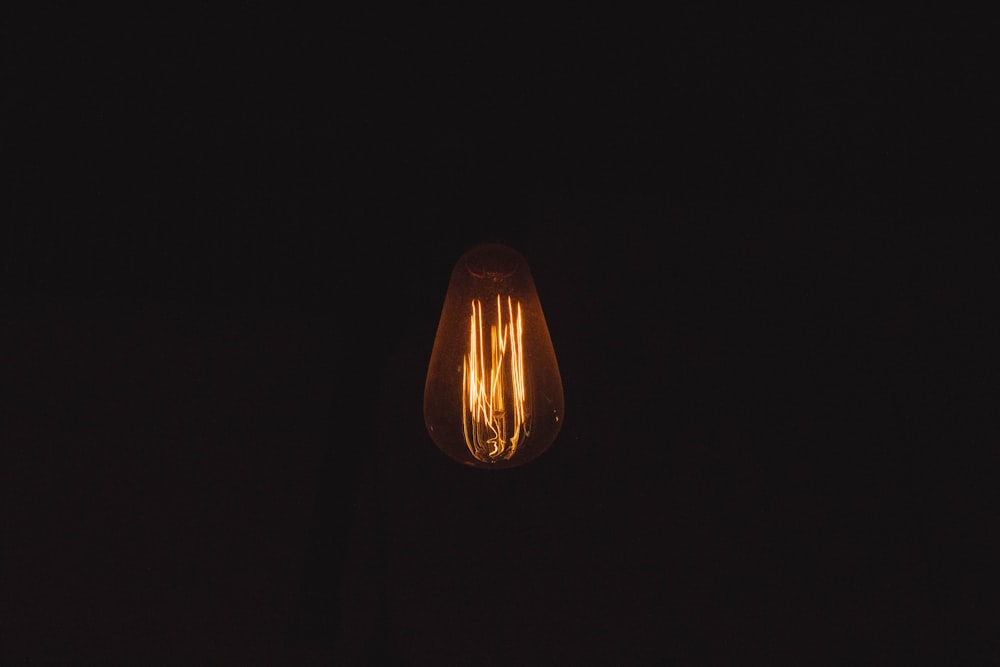 turned-on Edison bulb