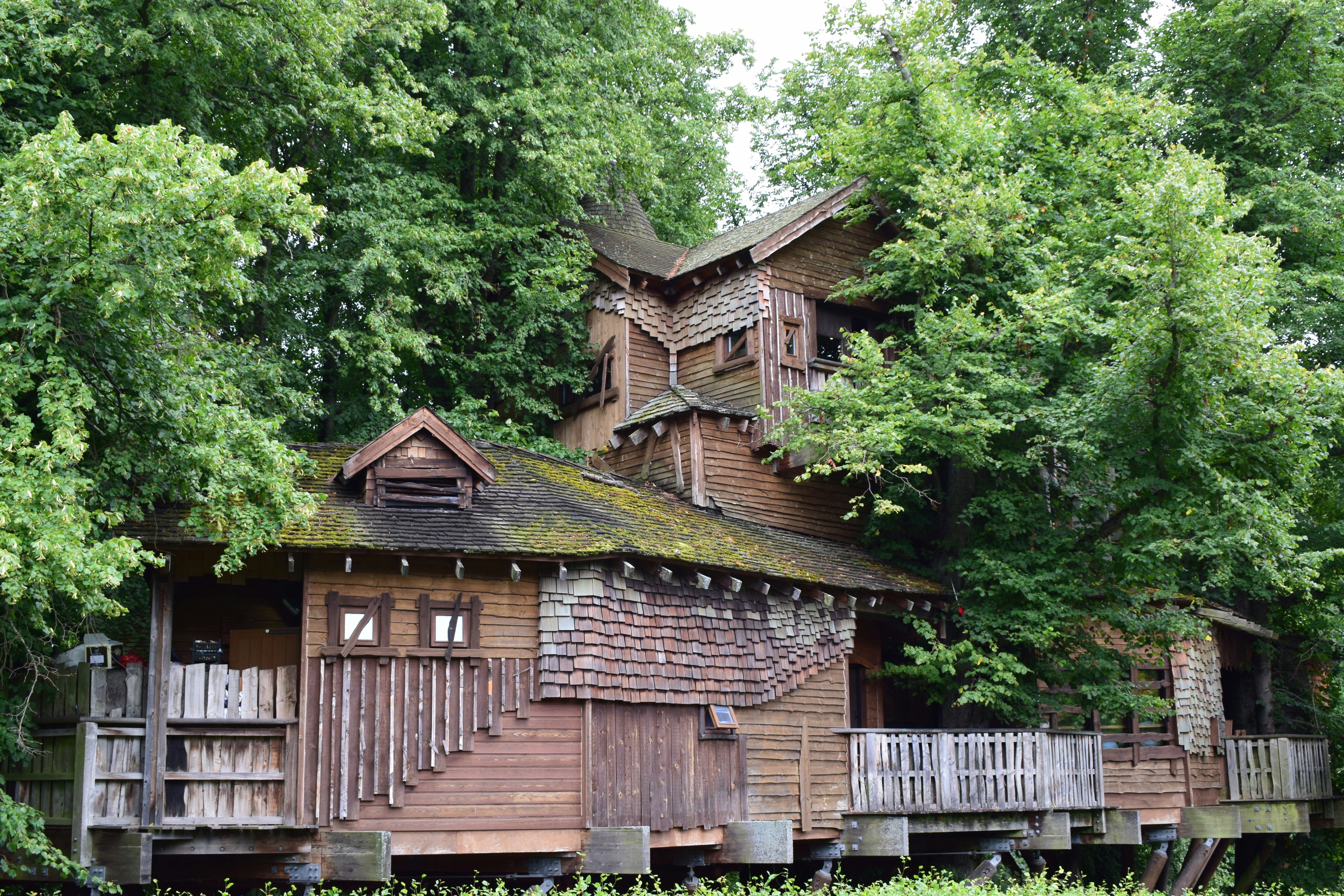 Small cozy treehouse with shingled roof and rope bridge between two trees in a leafy backyard
