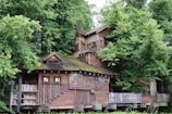 A rustic wooden house nestled among lush green trees, with a multi-level structure featuring wooden shingles and a moss-covered roof. The setting emphasizes a natural, forested environment.