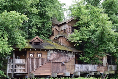A rustic wooden house nestled among lush green trees, with a multi-level structure featuring wooden shingles and a moss-covered roof. The setting emphasizes a natural, forested environment.