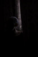 A shadowy silhouette of a figure in a classic bondage pose against a dimly lit backdrop.