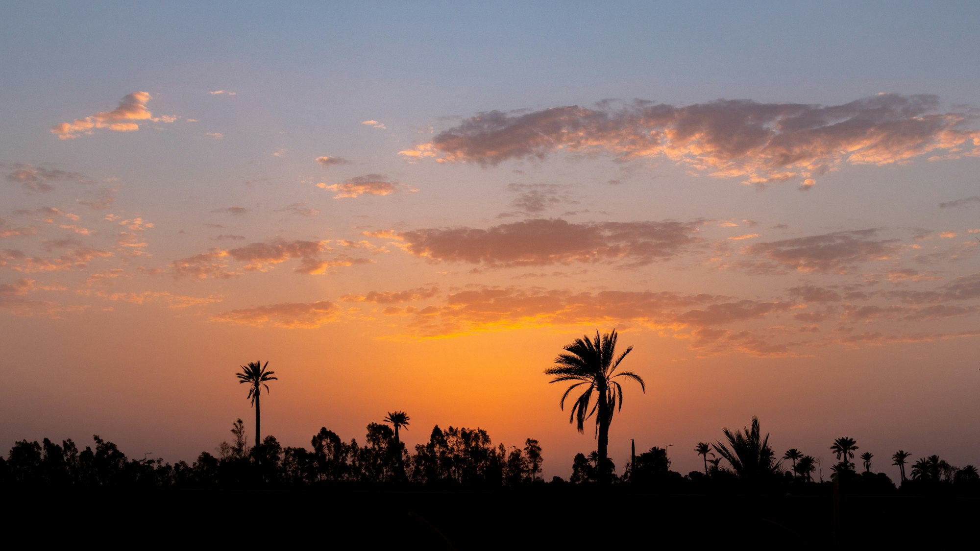 After a year of hard work, I decided to escape for a few weeks away from Paris and it is in Morocco that I stay. After a day in the streets of Marrakesh, around 08:00 PM, I see this beautiful sunset that I immortalize and that I share with you. A great wallpaper.