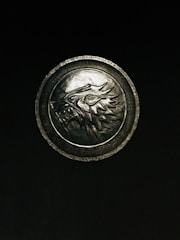 A metallic emblem with a detailed carving of a wolf's head, featuring sharp lines and intricate patterns, is centered against a dark background. The circular design includes textured borders, emphasizing the wolf motif.