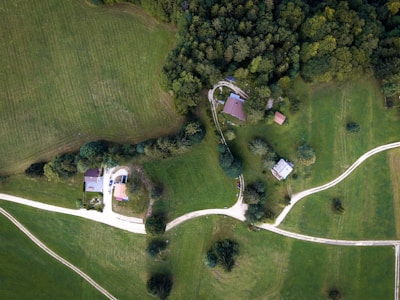 An aerial view of a rural landscape featuring a few scattered houses surrounded by lush green fields and dense clusters of trees. Several winding dirt roads connect the structures, and the area is predominantly covered in grass.