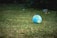 A textured grass field with a colorful inflatable globe lying on it, showing detailed geographic illustrations. The globe contrasts with the natural green surroundings, suggesting a playful outdoor setting.