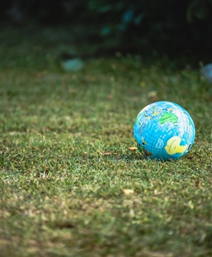 blue and white desk globe on green grass field during daytime