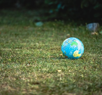 blue and white desk globe on green grass field during daytime