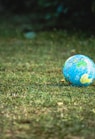 blue and white desk globe on green grass field during daytime