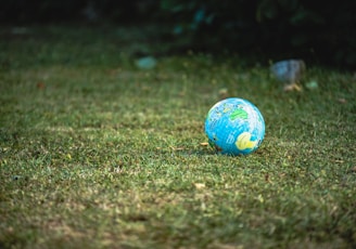 blue and white desk globe on green grass field during daytime