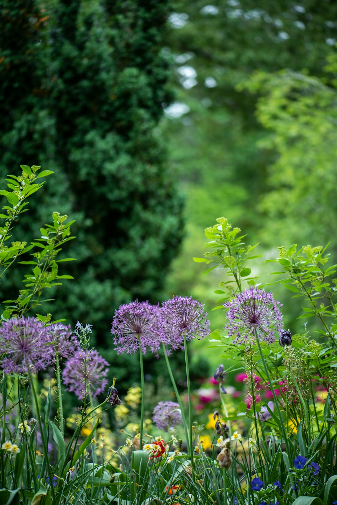 Garden Design – Inspiring colour from Nature