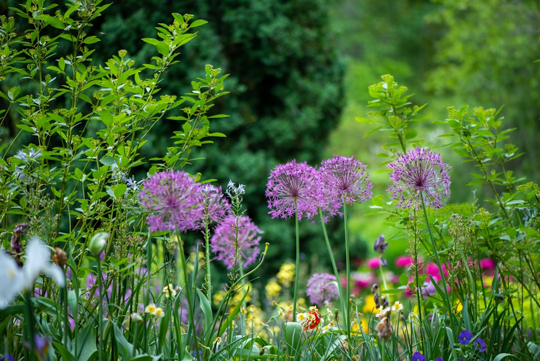 Qui contacter pour refaire un jardin ?