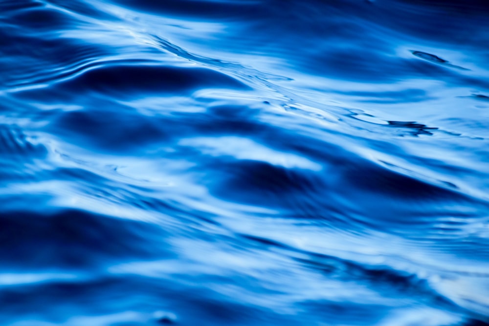close-up photo of calm water