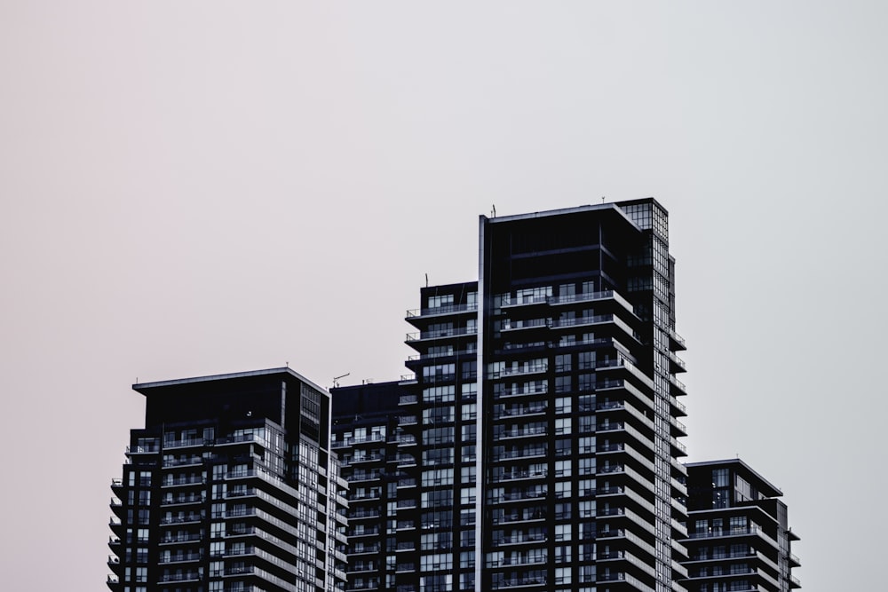 Edificio de pared de vidrio cortina gris